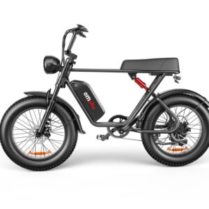 C91 - 20 Inch 20A Electric Bike ---- Purchase Style, Please Check The Details